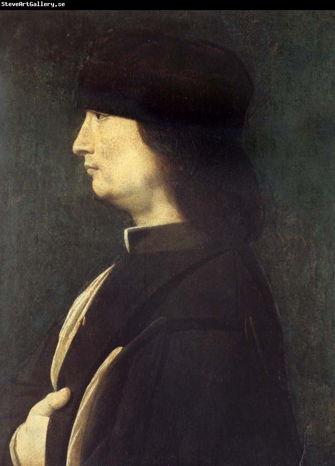 BOLTRAFFIO, Giovanni Antonio Portrait of a Gentleman